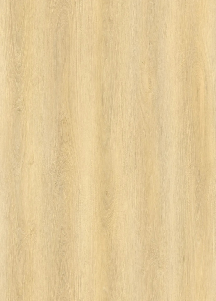 V-FLOOR SP01 SPC CLICK PLANK