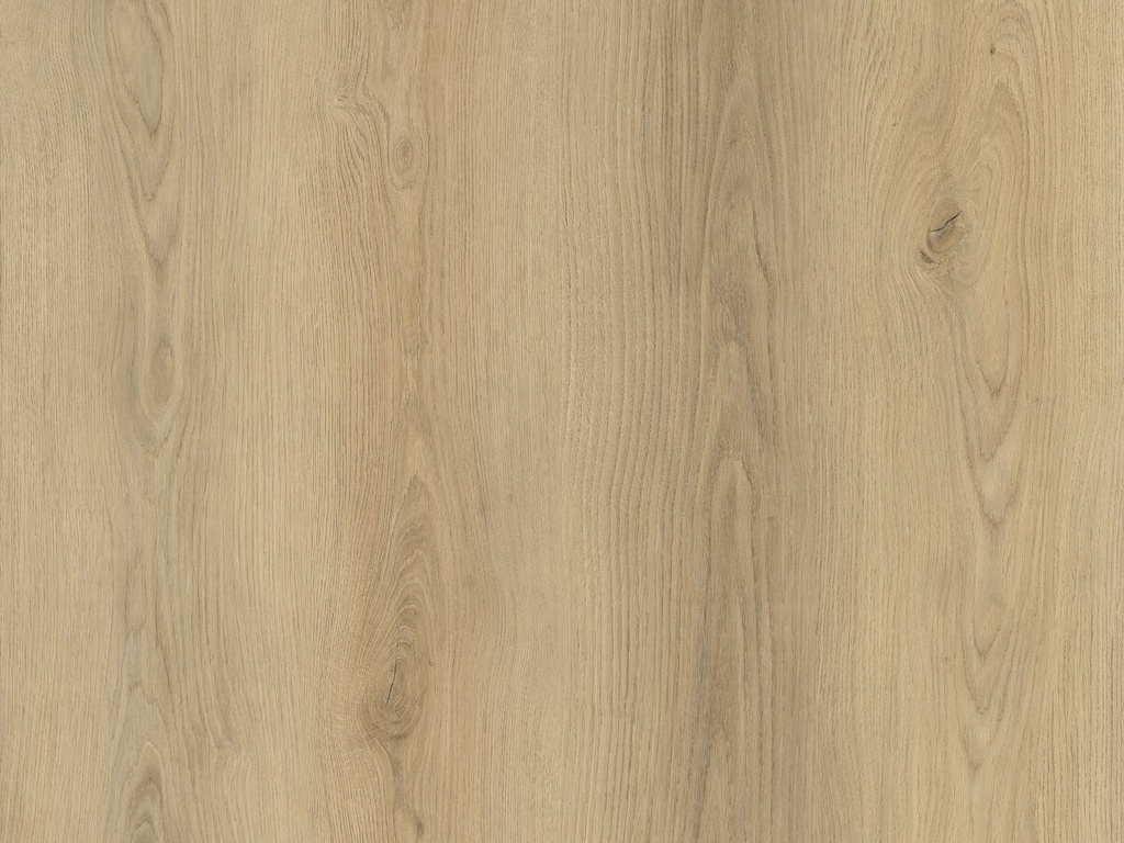 [DPDB-60602] DPDB-60602 / La Bella Maison Rhone Plank Dry-Back
