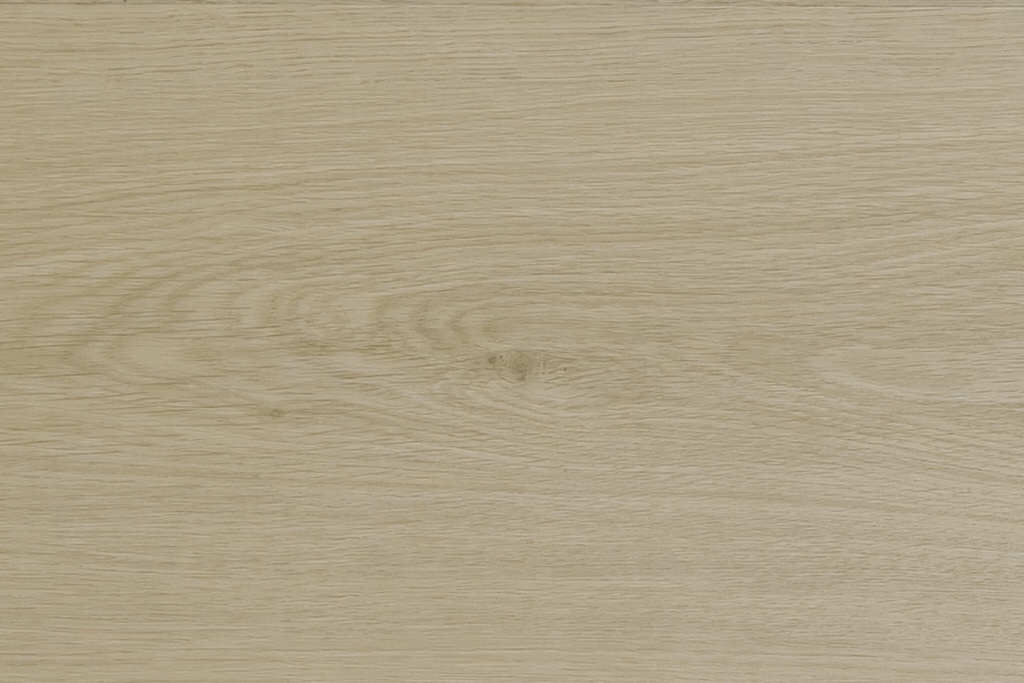 Identity Essence Dryback 7120 (1)