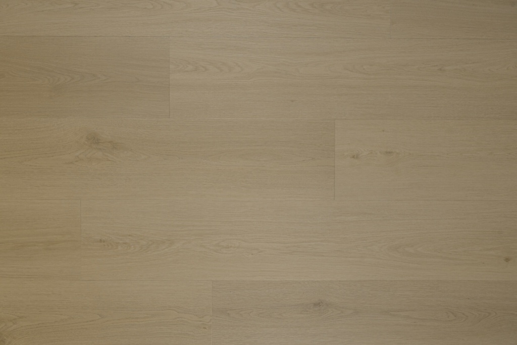 Identity Essence Dryback 7130