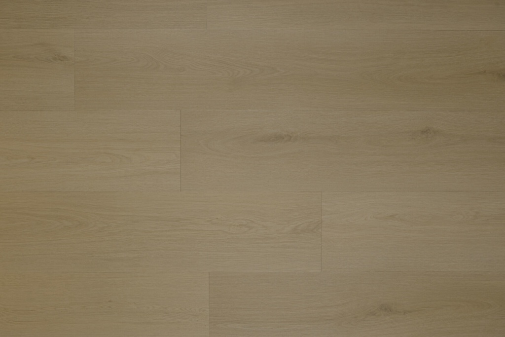 Identity Essence Dryback 7140